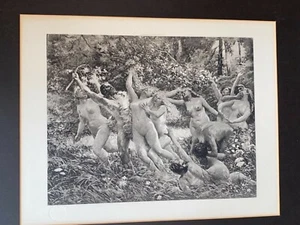 Spring by Albert Auguste Fourie Photogravure 1894 George Barrie Nudes Frolicking - Picture 1 of 11