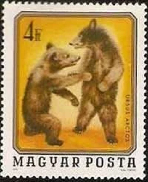 HUNGRIA - 1976 - Animais Jovens - Urso Marrom 🙃 Selo MNH 😀 Scott #2408 - Imagem 1 de 1