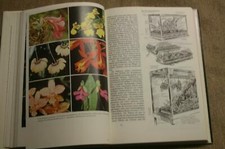 Fachbuch Orchideen, Zucht, Pflege, Vermehrung, Arten, Blüten, DDR 1982