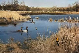 Maynard Reece - The Marsh (Top Zustand) - S/N Lithographie - signiert - Bild 1 von 1