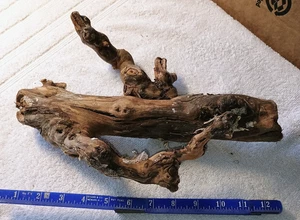 Driftwood w/Snake Skin Approx. 12" x 10 x 4 OOAK - Picture 1 of 14