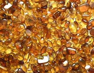 GENUINE Fossil Insect Inclusion in Burmese amber - Price per 3 pieces - Picture 1 of 8