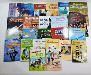 Lot of 24 Fountas & Pinnell LLI Gold System Level Q Leveled Literacy Readers - Picture 1 of 12