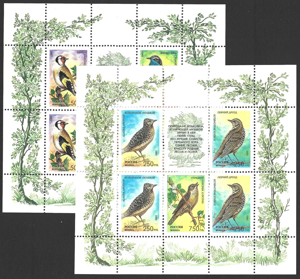 Russia 1995.  Songbirds.  2  Miniature Sheets  Sc#6265-68 a, b  MNH - Image 1 of 1