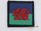 Royal Welsh Regiment, TRF,Abzeichen,Patch,subdued, roter Drache,mit KLETT