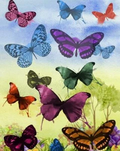 USA - DIY Paint by Number Kit Acrylic Painting Home Decor - Bunch of Butterflies - Picture 1 of 4