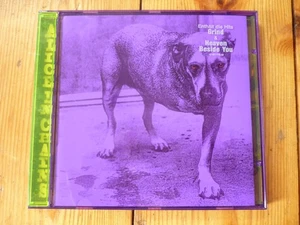 Alice In Chains – Alice In Chains / SONY RECORDS CD 1995 - Bild 1 von 2