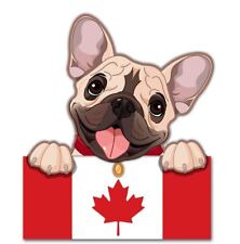 1 x Vinyl Sticker Car Sticker Sticker Dog Dog Canada Flag French Bulldog