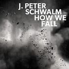 J Peter Schwalm   How We Fall   New Vinyl Record 12   J1398z
