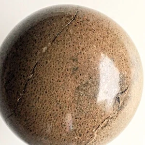 Jurassic 'Baseball' Atlasaurus Dinosaur Bone - Picture 1 of 5