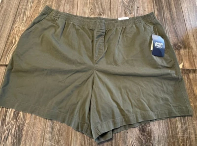Nuevo con etiquetas Pantalones cortos para mujer Lands End verde oliva tiro medio premium talla 26W Foto 1 de 4