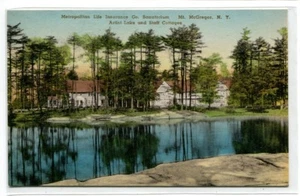 Postal Staff Cottages Lake Metropolitan Life Sanitorium Mt McGregor Nueva York - Imagen 1 de 1