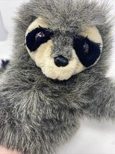 Baby Raccoon Hand Puppet Plush Folkmanis Realistic Stuffed Animal Toy - Picture 1 of 11