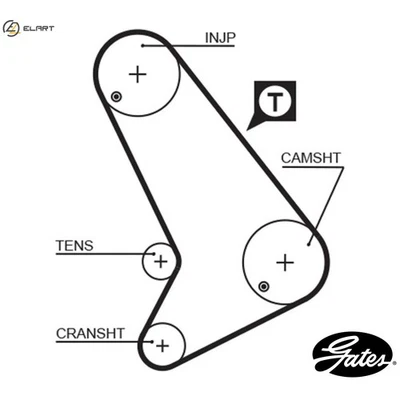 CINTURÓN DE DISTRIBUCIÓN 5571XS PARA METROCAB FORD TRANSIT/plataforma/chasis/TOURNEO/autobús/furgoneta Foto 1 de 4