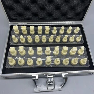 Dental tooth preparation model - Picture 1 of 5