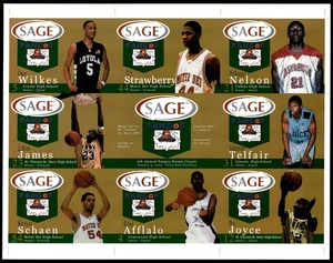 2002-03 Lebron James Rookie SAGE Pangos High School Uncut Sheet Gold *JP2080 - Picture 1 of 2