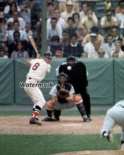 MLB 1967 Carl Yastrzemski Boston Red Sox at the Plate Color 8 X 10 Photo Picture