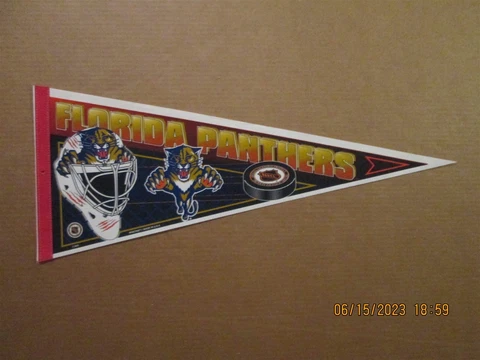 NHL Florida Panthers Vintage 1990's Goalie Helmet Team Logo Hockey Pennant Cover