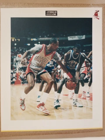 UNLV Go Rebels!! Photograph  20" x 24- Mascot and UNLV Go Rebels!! Upside Down Cover