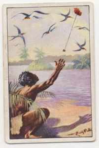 FREGATTVOGEL SCHLEUDER FRIGATEBIRD SLINGSHOT FRÉGATE JAGD FANG IMAGE CARD 1930's - Picture 1 of 2