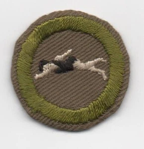 Insignia de mérito de natación, tipo C bronceado estrecho prensado (1938-46), ¡usada! - Imagen 1 de 1