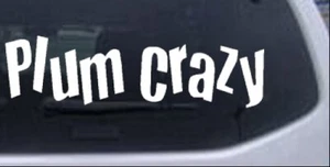 Plum Crazy Car or Truck Window Laptop Decal Sticker 10X2.9 - Picture 1 of 16