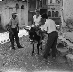 ANDRITSENA c. 1950 - Hommes Touriste à dos d'Âne Grèce - Négatif 6 x 6 - GRE 101 - Picture 1 of 1
