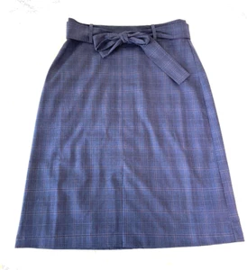 Banana Republic Factory Damengröße 10 blau Karriere karierter Rock neu mit Etikett - Bild 1 von 4