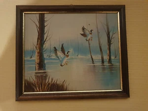 Schönes Bild / Naturmotiv Enten gerahmt 27x23 cm - Bild 1 von 1