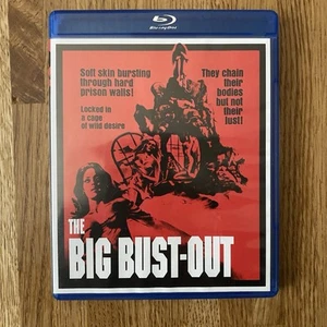 The Big Bust Out OOP 1973 Limited/1000 Scream Factory Rare Corman - Picture 1 of 2
