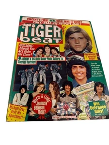 1975 JANUARY TIGER BEAT MAGAZINE - TEEN PHOTOS & ARTICLES COVER - L 11765 - Picture 1 of 1