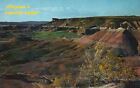 Painted Desert Buttes & Ridges Little Colorado Park Arizona AZ Vintage Postcard
