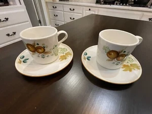 Set of 2 - Coffee Cups / Saucers - Ben Seibel Iroquois China Old Orchard A2B6 - Picture 1 of 7