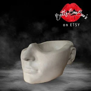 Small Face Planter Pot - Garden Oddity - Female Nose Mouth Ears - Picture 1 of 10