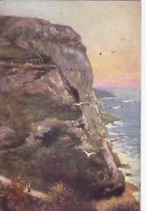 HASTINGS, SUSSEX - ECCLESBOURNE CLIFFS OILETTE COLOUR POSTCARD (1913) + - Picture 1 of 2