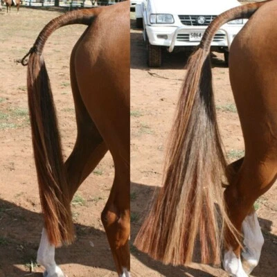 DOUBLE False Tail Mid CHESTNUT Genuine Horse 80CM 32“ False Horse Tail 360g - Photo 1/3