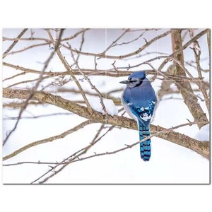 Bird Ceramic Tile Wall Mural PT500172. 24" W x 18" H (12) 6x6 tiles - Picture 1 of 1