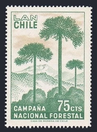 Chile C274 block/4, MNH. Michel 664. International Reforestation Campaign, 1967. - Image 1 of 1