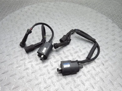 Yamaha Road Star XV1700 2012 09-14 OEM bobina de encendido paquete de bujías lote de varillas Foto 1 de 4