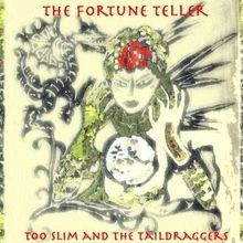 The Fortune Teller von the Too Slim  Taildraggers | CD | Zustand sehr gut - Bild 1 von 2