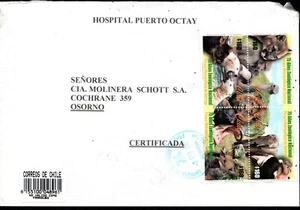 CHILE, SOBRE, PTO. OCTAY CON BLOCK DE SELLOS ZOOLOGICO NACIONAL  (SO - 268 ) - Picture 1 of 3