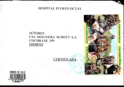 CHILE, SOBRE, PTO. OCTAY CON BLOCK DE SELLOS ZOOLOGICO NACIONAL  (SO - 268 ) - Image 1 of 3