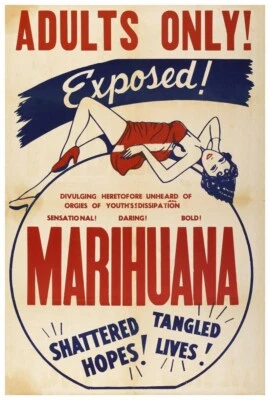 Marijuana Propaganda Poster 24x36 Inch Classic Iconic Print Wall Art RM06 - Image 1 of 4
