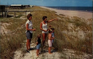 Myrtle Beach,SC Sea Oats,Beach View Horry County South Carolina Postcard - Picture 1 of 2