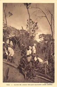 Togo - Students of the Bible school growing yams - Publ. Society of Evangelical - Picture 1 of 2