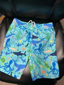 boys gymboree size 10 swim trunks - Picture 1 of 3