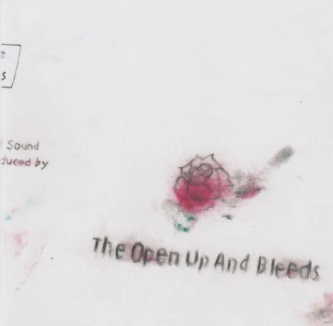 The Open Up and Bleeds - Open up and bleeds (CD) - Bild 1 von 1