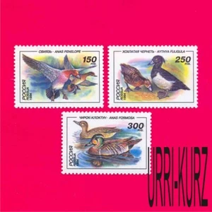 RUSSIA 1994 Nature Fauna Water Birds Ducks 3v Mi389-391 MNH - Picture 1 of 1