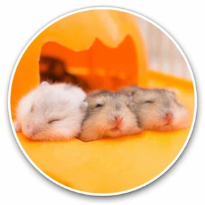 2 x Vinyl Stickers 30cm - Cute Trio of Gerbils Rodent Cool Gift #12957 - Afbeelding 1 van 9