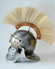 Roman Imperial 18Guage Steel &Brass Gallic Helmet With Beautiful Plume